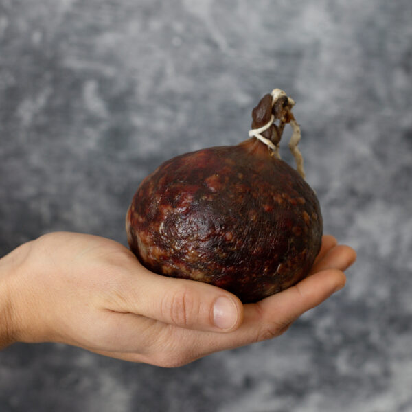 Bisbe - Imagen 3